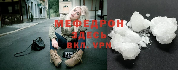 СК Алексин