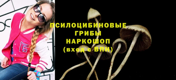 круглые Алзамай
