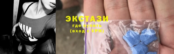 СК Алексин