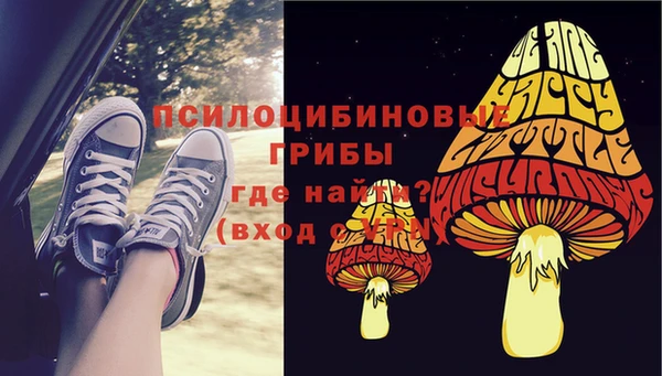мет Абаза