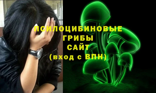 мет Абаза