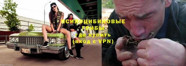 круглые Алзамай