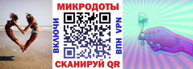 Галлюциногенные грибы Psilocybine cubensis  Иваново 